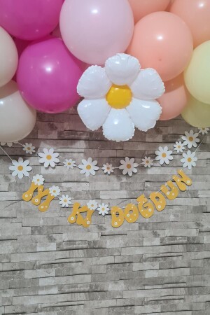 Daisy Theme Set of 2 Banner Happy Birthday Daisy Concept Wall Ornament - Pekshop
