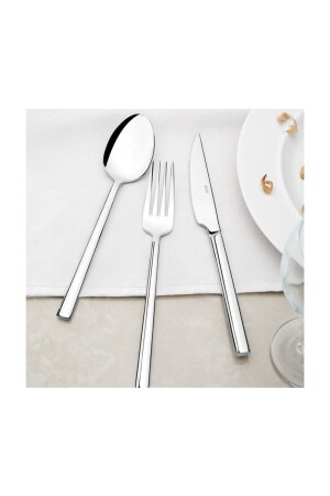 Dalyan Plain 84 Piece Leather Boxed Fork Spoon Knife Set 9541875 - Nehir