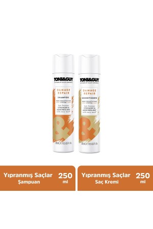 Damaged Repair Shampoo + Conditioner für strapaziertes Haar 8681689313043 - Toni Guy