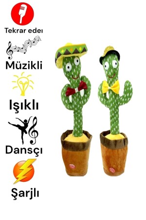Dancing Talking Plush Cactus Flurry - Bk Story