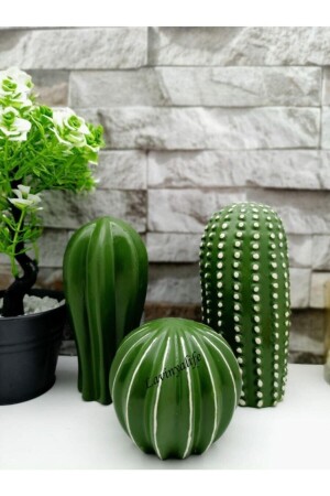 Decorative 3-pack Cactus Trinket lv1 - patienc