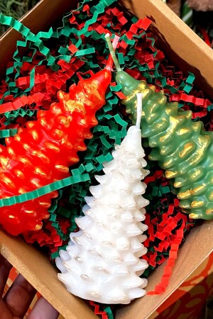 Decorative Gift Honeysuckle, Coconut and Vanilla Scented 3-Piece Pine Tree Candle Set - Fantastik Sanat Atölyesi