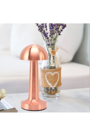 Decorative LED Table Lamp Ls-650 - Ithink
