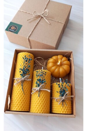 Decorative Natural Honeycomb Beeswax Candle Pumpkin Flower Set Beeswax Candle Gift m170 - Petekoğlu