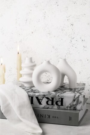 Decorative Stylish Minimal 3-Piece Stylish Vase Set - Lalezen Home