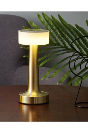 Decorative Table Lamp Led Rechargeable 3 Colors Lamp Touch Dimming Atmosphere Night Light - Protonust