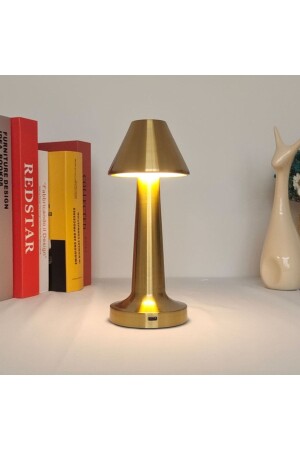 Decorative Table Lamp restaurant hotel table lamp Rechargeable Lamp Touch Dimming Night Light - Protonust