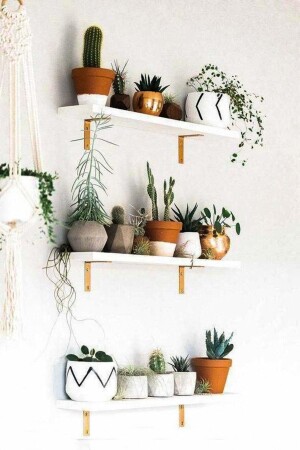 Decorative Triple Wall Shelf Metal Leg Succulent Flower Pot - Ramazan Küçük