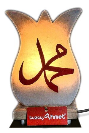 Dekorative Salzlampe TA0040 - Tuzcu Ahmet