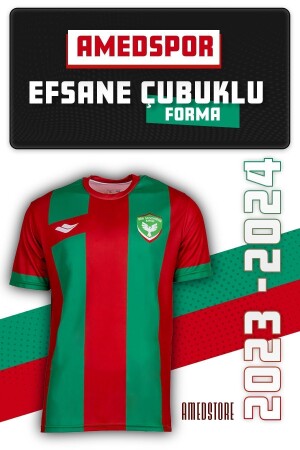 Diyarbakır Amedspor Legendary Cubuklu Jersey A01 - Amed Spor