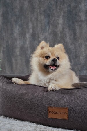 Dogbed Evcil Hayvan Yatağı 70 x 50 x 23 cm - Antrasit eh1 - Doqu Home