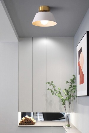 Dolly Modern Hol Koridor Giriş Için Tekli Plofonyer Metal Avize - Trend Avize