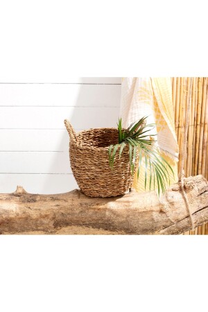 Dorise Small Wicker Basket 1KSEPT0430-8682116134835 - Madame Coco
