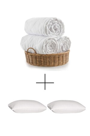 Double Quilt Set (2 PILLOWS 1 QUILT) Microfiber Technology Silicone Filling 200x220 (195X215) ELYPRKR01474 - ELY PARKER