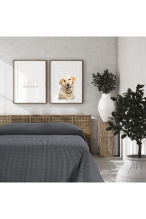Double Sleeper, Bedspread 220x240 Cm Anthracite TYC00467827716 - Lucy and Home