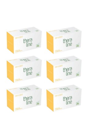 Easy&digest Digestive Regulator Tea Filter Bag (20 *6 BOXES) 120 Pieces 8680757050101-3SBIO - Theraline