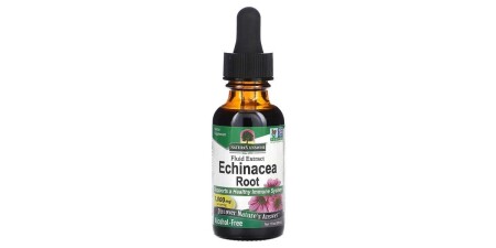 Echinacea-Wurzel - POWERBODY