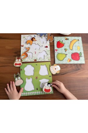 Educational Toy -find-plug-have-fun-learn- (3 Placement Boards + 13 Characters) 0004 - Mim Ar Design