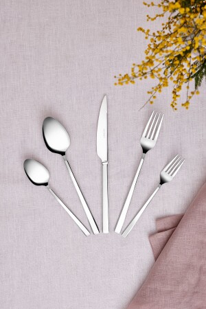 Ege 60 Piece Cutlery Set for 12 Persons with Luxury Box - Emsan