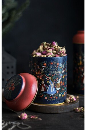 Er080-9a Tales Alices Patterned Spice Shaker 0,6 Lt TYC00445024288 - Evle