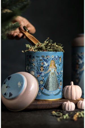 Er080-u9 Tales Cinderella Patterned Spice Jar 0,6 Lt TYC00445023414 - Evle
