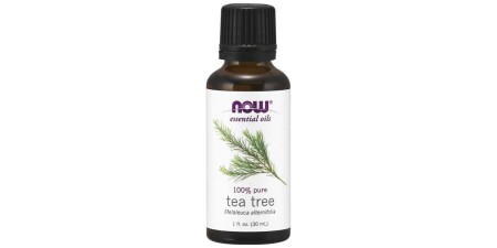 Essential Oil, Tea Tree Oil - 30 ml. - NOW Foods