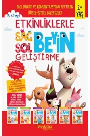 Etkinliklerle Sağ Beyin Sol Beyin Geliştirme (2 YAŞ) 6'lı Set - Hayykitap
