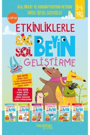 Etkinliklerle Sağ Beyin Sol Beyin Geliştirme (5-6 Yaş) 6’lı Set - Hayykitap
