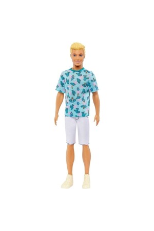 Fashionistas Handsome Ken Dolls #211 RKT-HJT10 - Barbie