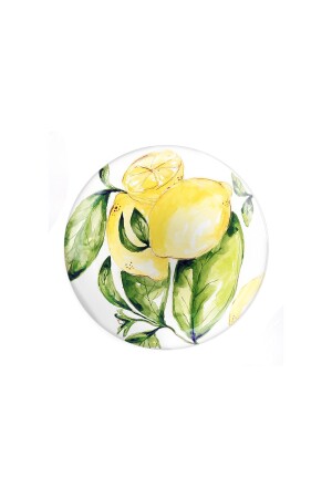fern&co. Citrus Collection 4-Piece Large Melamine Plate Set FRN00201 - FernCo