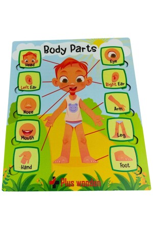 Find And Plug English Educational Children's Toy Puzzle Jigsaw Body Organs - Artı Dekor