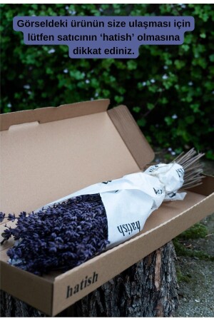 Freeze-Proof Natural Lavender Bunch - Hatish