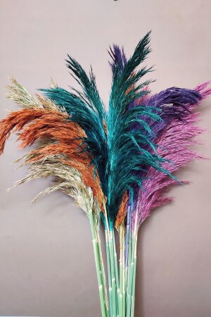 Freezing Pampas Grass 100 cm Bunch of 15 Dried Flowers - Eçiçek