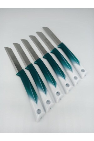 Fruit Knife Set of 6 Kitchen Knives Set Meat Bread Vegetable Fruit Onion Pastry Meat Chef Knife Butcher Knife HBMB00001VY - Solingen