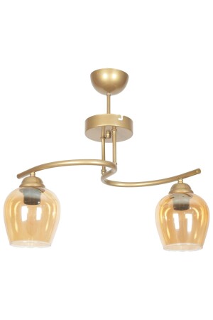 Fuji Modern Design Vintage Case Honey Glass Living Room - Kitchen - Bedroom 2-Piece Chandelier fujia110 - Fer Avize