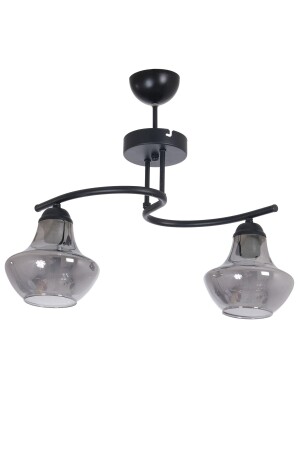 Fujifora Modern Design Kitchen Living Room Bedroom Black Color Smoked Glass 2 Piece Chandelier FF91 - Fer Avize