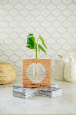 Glass Mini Vase Flower Pot Tube Vase with Square Wooden Stand - Lalezen Home