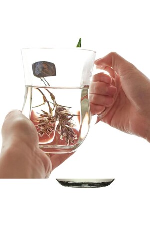 Gourmet Ayran Glas 350 cc 6 Stück Fma06010 074oa NR-PB55383 - Paşabahçe