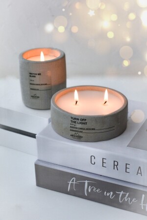 Gray Smoked Color Ocean Scented Soy Candle in a Concrete Pot of 2 Decorative Vegan Candle Set - ersustore