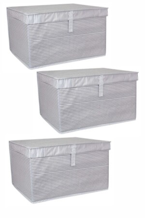 Gray Striped Multi-Purpose Box Maxi Pack of 3 - Alas