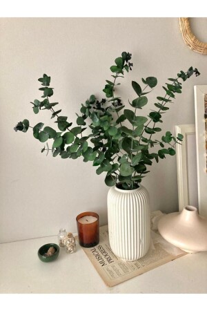 Green Eucalyptus Leaf Shocking (5 Branches of Leaves) - Çiçek