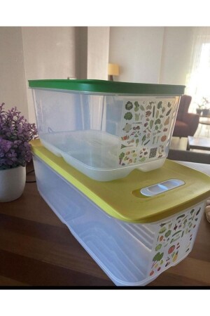 Greenhouse Storage Container 4. 4 Lt And 6. 1 L 2 Li - Tupperware