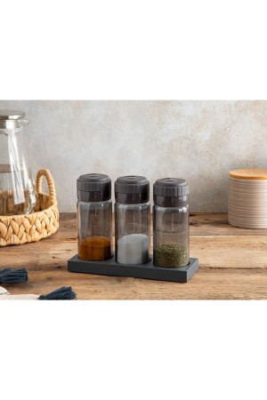 Greta Glass 3-Piece Spice Shaker 245 Ml Anthracite TYC00497280636 - English Home