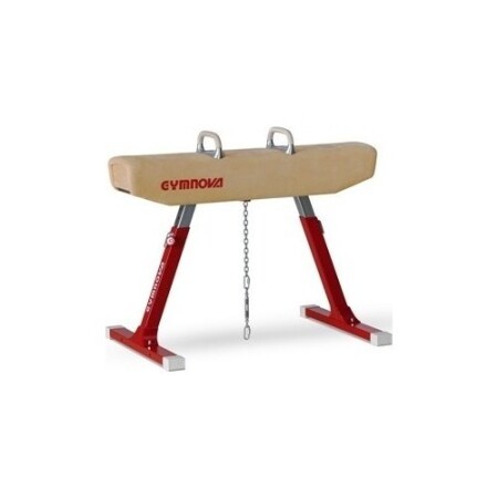 Gymnastics 