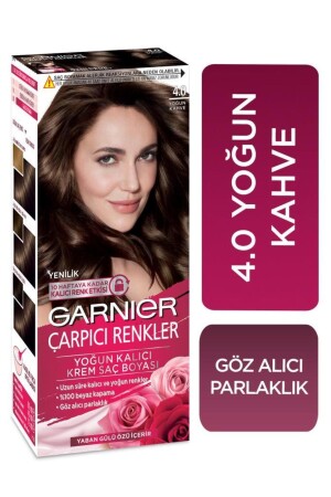 Haarfärbemittel – Atemberaubende Farben 4. 0 Intensiver Kaffee - Garnier