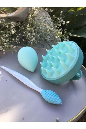 Hair Care Brush, Massage Comb and Blackhead Removal Apparatus - Meyras Touch