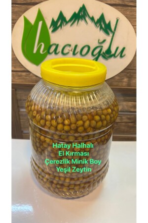 Hatay Local Anklet Kleine Snack-Grünoliven 5 Liter / 3 kg Kanister kleine Oliven 3,5 Dosen - Hacıoğlu baharat