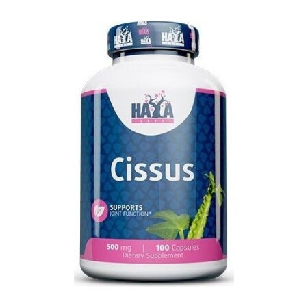 Haya Labs Cissus (Winged Clover) 100 capsules. - Haya Labs