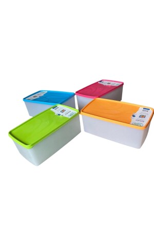 Hobby Life 4 Pieces Alaska Nofrost Large Storage Container Deep Freezer 3,5 Lt 11HHALASKA3,5L4AD - HOLLYHOME
