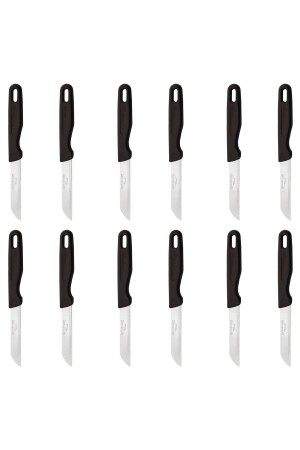 Hollow Handle Fruit Knife Set of 12-black - Solingen